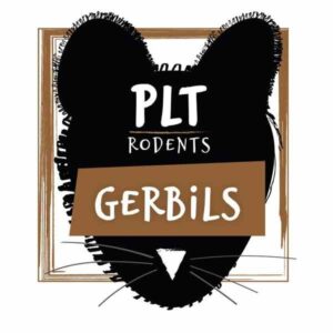 PLT Rodents Frozen Gerbils 20g+ 10 Pack