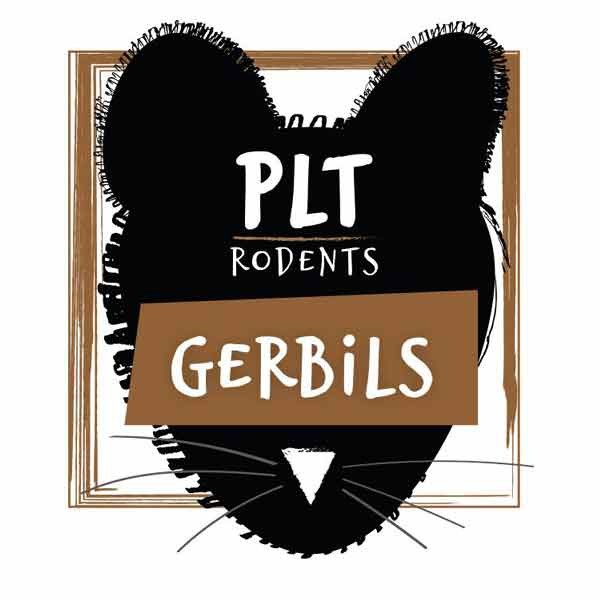 PLT Rodents Frozen Gerbils 20g+ 10 Pack 1 PLT Rodents Frozen Gerbils 20g+ 10 Pack