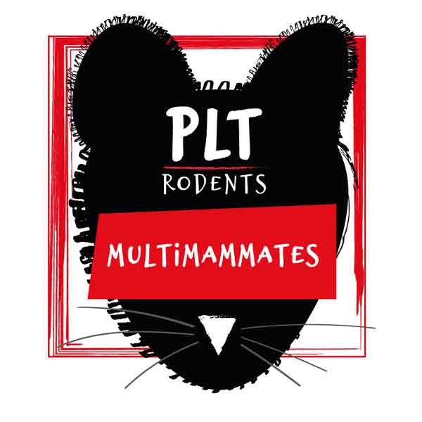 PLT Rodents Frozen Multi Mammate Small 10g+ 10 Pack 1 PLT Rodents Frozen Multi Mammate Small 10g+ 10 Pack