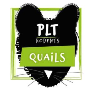 PLT Rodents Frozen Quail Small 5g+ 10 Pack