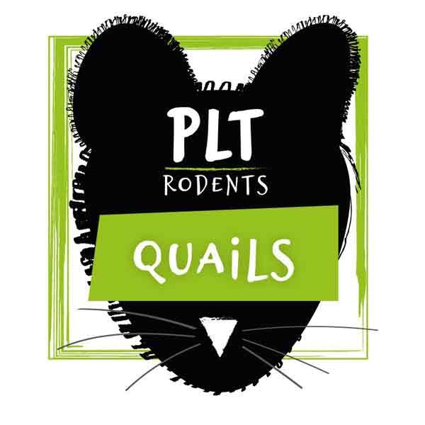 PLT Rodents Frozen Quail Large 100g+ 1 PLT Rodents Frozen Quail Large 100g+