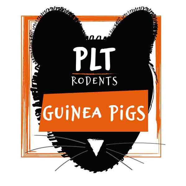 PLT Rodents Frozen Guinea Pig Medium 200g+ 1 PLT Rodents Frozen Guinea Pig Medium 200g+