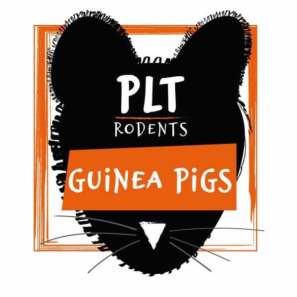 PLT Rodents Frozen Guinea Pig Small 100g+ 1 PLT Rodents Frozen Guinea Pig Small 100g+
