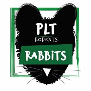 PLT Rodents