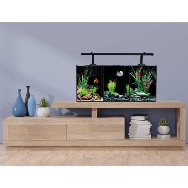 Aqua One Betta Trio Glass Aquarium 32L 2 Aqua One Betta Trio Glass Aquarium 32L - Image 2