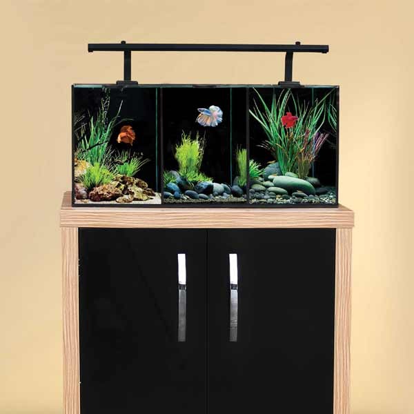Aqua One Betta Trio Glass Aquarium 32L 3 Aqua One Betta Trio Glass Aquarium 32L - Image 3