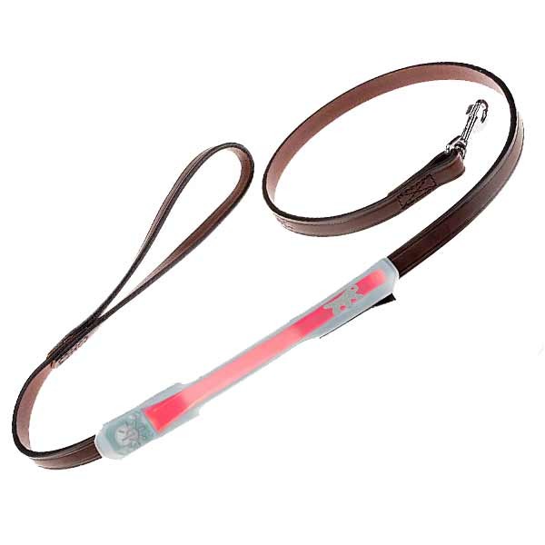 Ferplast Night Over-Lead Luminous Leash LED Cover 4 Ferplast Night Over-Lead Luminous Leash LED Cover - Image 4