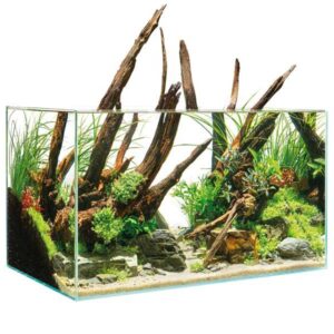 Oase ScaperLine 60 Aquarium