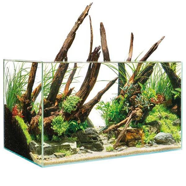Oase ScaperLine 60 Aquarium 1 Oase ScaperLine 60 Aquarium