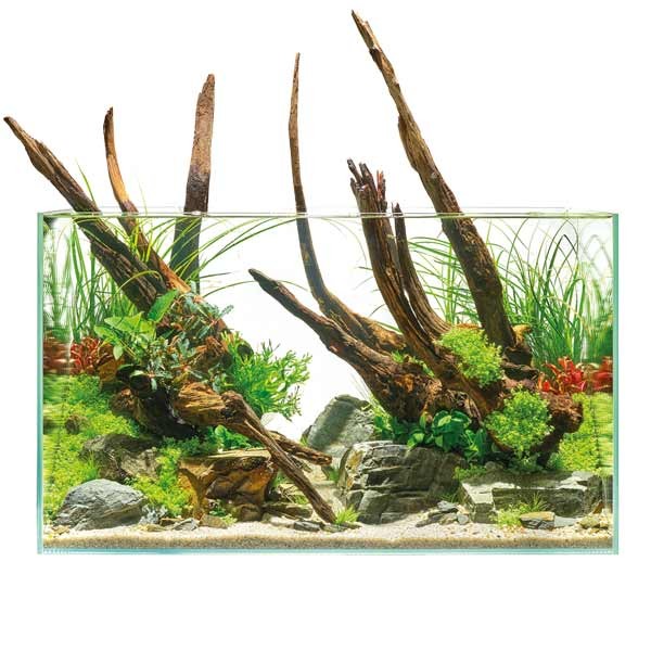 Oase ScaperLine 60 Aquarium 2 Oase ScaperLine 60 Aquarium - Image 2