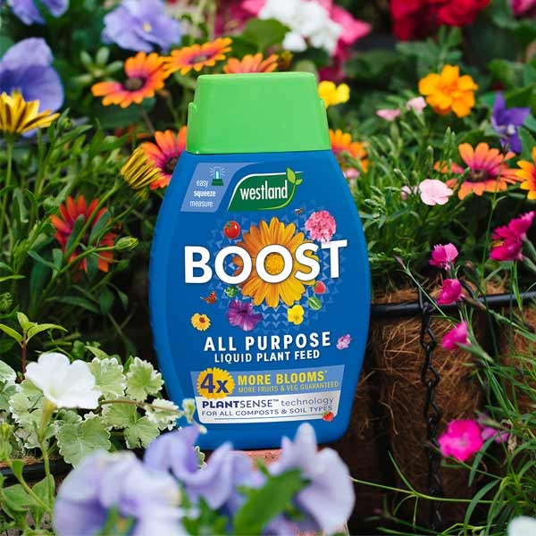 Westland Boost All Purpose Liquid Plant Food 1 Litre 2 Westland Boost All Purpose Liquid Plant Food 1 Litre - Image 2