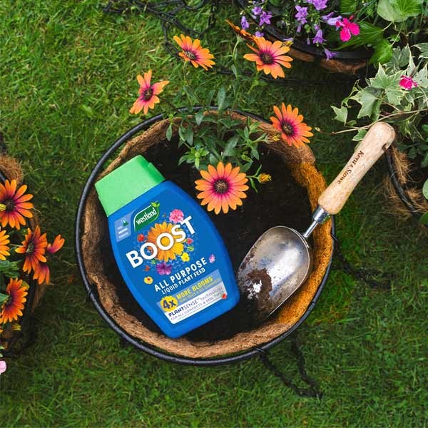 Westland Boost All Purpose Liquid Plant Food 1 Litre 3 Westland Boost All Purpose Liquid Plant Food 1 Litre - Image 3