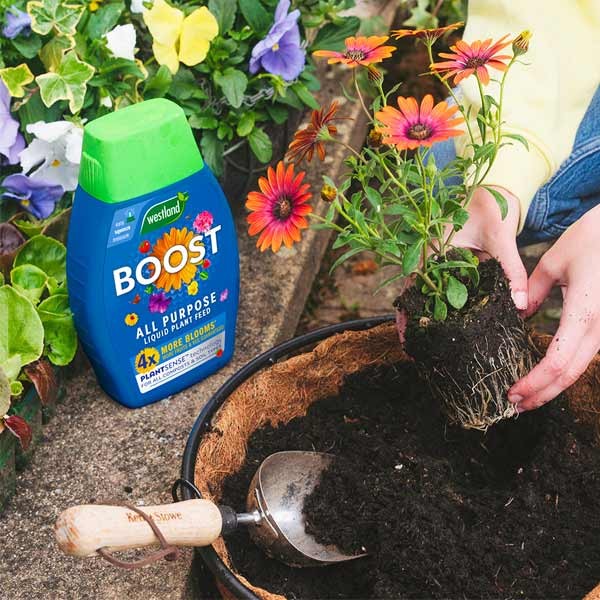 Westland Boost All Purpose Liquid Plant Food 1 Litre 4 Westland Boost All Purpose Liquid Plant Food 1 Litre - Image 4