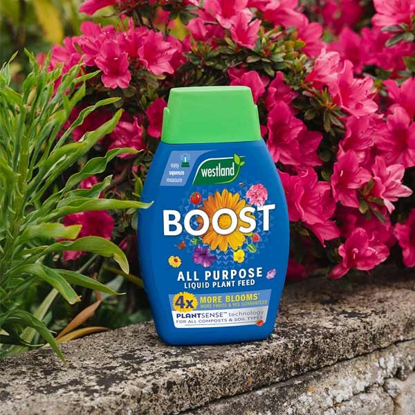 Westland Boost All Purpose Liquid Plant Food 1 Litre 5 Westland Boost All Purpose Liquid Plant Food 1 Litre - Image 5