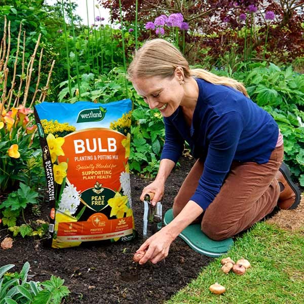 Westland Bulb Planting & Potting Mix Peat Free 10 Litres 2 Westland Bulb Planting & Potting Mix Peat Free 10 Litres - Image 2