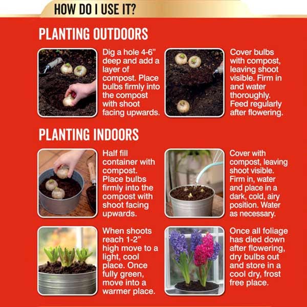 Westland Bulb Planting & Potting Mix Peat Free 10 Litres 4 Westland Bulb Planting & Potting Mix Peat Free 10 Litres - Image 4