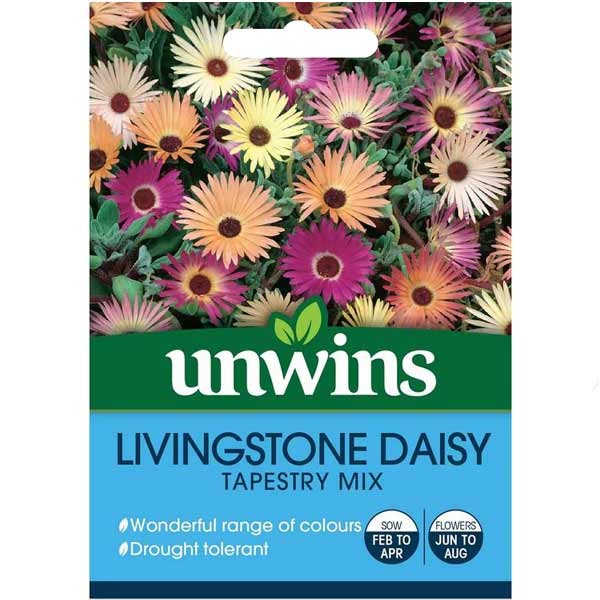Unwins Livingstone Daisy Tapestry Mix Seeds 1 Unwins Livingstone Daisy Tapestry Mix Seeds