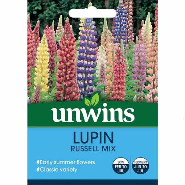 Unwins Lupin Russell Mix Seeds 1 Unwins Lupin Russell Mix Seeds