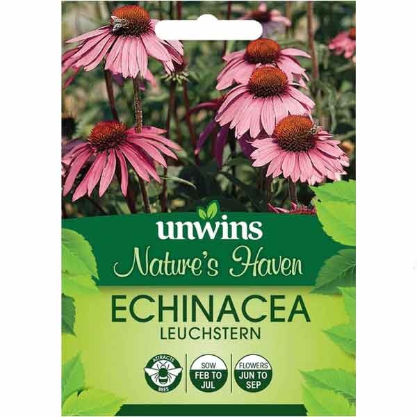 Unwins Nature's Haven Echinacea Purpurea Leuchstern Wildflower Seeds 1 Unwins Nature's Haven Echinacea Purpurea Leuchstern Wildflower Seeds