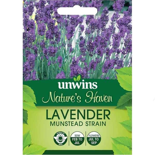 Unwins Nature's Haven Lavender Munstead Seeds 1 Unwins Nature's Haven Lavender Munstead Seeds