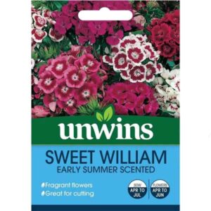 Unwins Sweet William Early Summer Scented Seeds