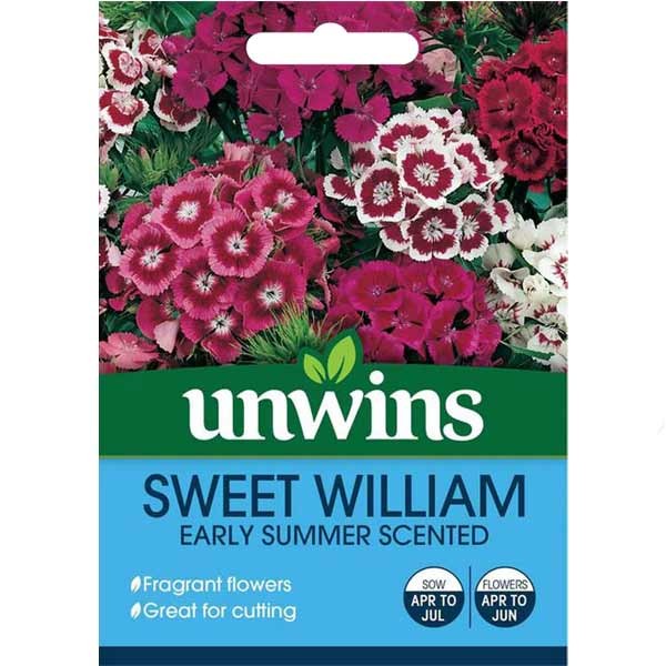 Unwins Sweet William Early Summer Scented Seeds 1 Unwins Sweet William Early Summer Scented Seeds