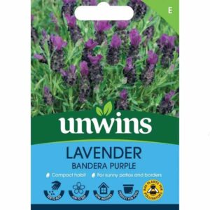 Unwins Lavender 'Bandera Deep Purple' Seeds