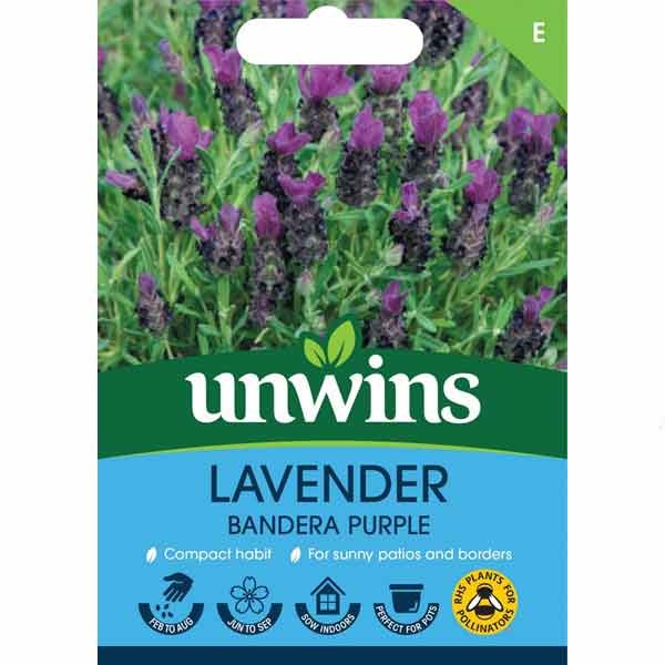 Unwins Lavender 'Bandera Deep Purple' Seeds 1 Unwins Lavender 'Bandera Deep Purple' Seeds