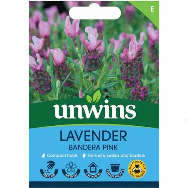 Unwins Lavender 'Bandera Deep Pink' Seeds 1 Unwins Lavender 'Bandera Deep Pink' Seeds