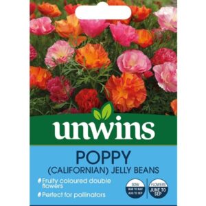 Unwins Californian Poppy XL Jelly Beans Seeds