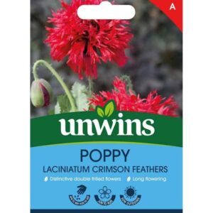 Unwins Poppy Laciniatum Crimson Feathers Seeds