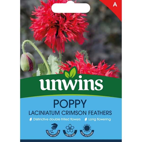 Unwins Poppy Laciniatum Crimson Feathers Seeds 1 Unwins Poppy Laciniatum Crimson Feathers Seeds