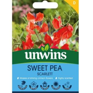 Unwins Sweet Pea Scarlett Seeds