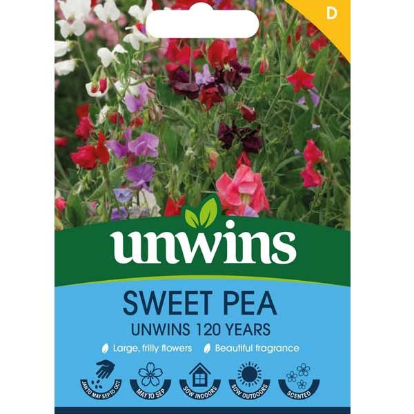 Unwins Sweet Pea 120 Years Seeds 1 Unwins Sweet Pea 120 Years Seeds