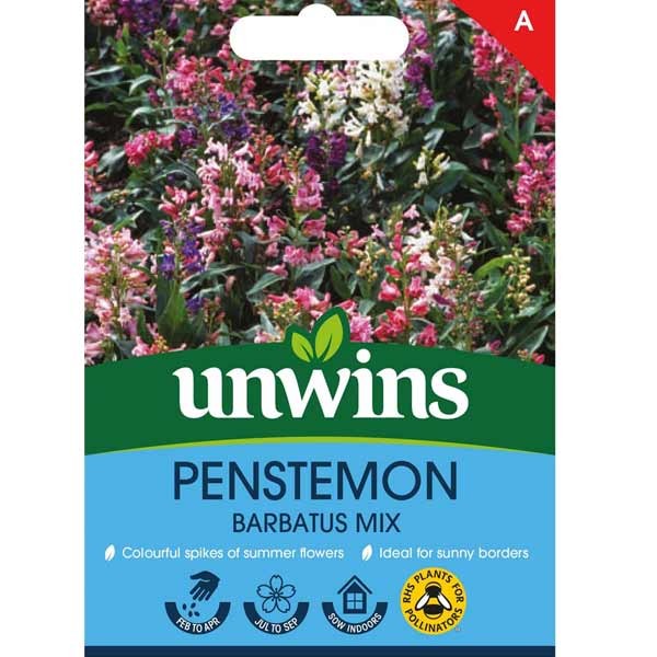 Unwins Penstemon Barbatus Mix Seeds 1 Unwins Penstemon Barbatus Mix Seeds