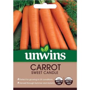 Unwins Carrot Sweet Candle Seeds