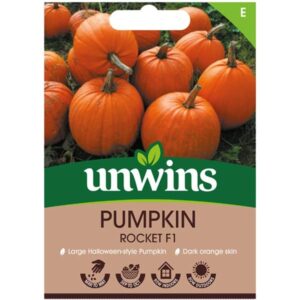Unwins Pumpkin Rocket F1 Seeds