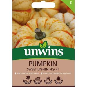 Unwins Pumpkin Sweet Lightning F1 Seeds