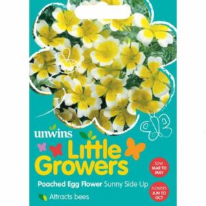 Unwins Little Growers Poached Egg Flower Sunny Side Up Seeds