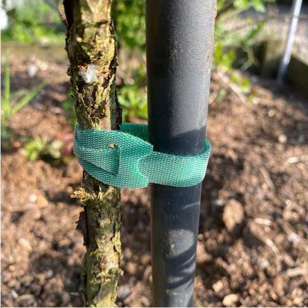 Growers Choice Hook & Loop Plant Tie 7.6m 2 Growers Choice Hook & Loop Plant Tie 7.6m - Image 2