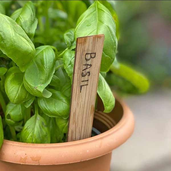 Growers Choice Bamboo Plant Labels 10 Pack 3 Growers Choice Bamboo Plant Labels 10 Pack - Image 3