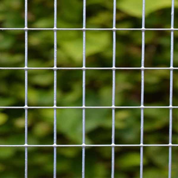 Tildenet 13mm Galvanised Wire Mesh Panel 0.6x0.9m 2 Tildenet 13mm Galvanised Wire Mesh Panel 0.6x0.9m - Image 2