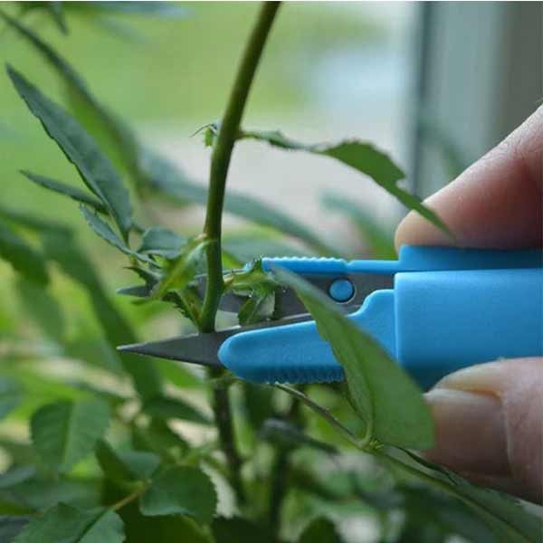 Growers Choice Snip It Deluxe Assorted Colours 2 Growers Choice Snip It Deluxe Assorted Colours - Image 2