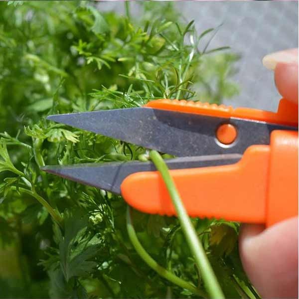 Growers Choice Snip It Deluxe Assorted Colours 4 Growers Choice Snip It Deluxe Assorted Colours - Image 4