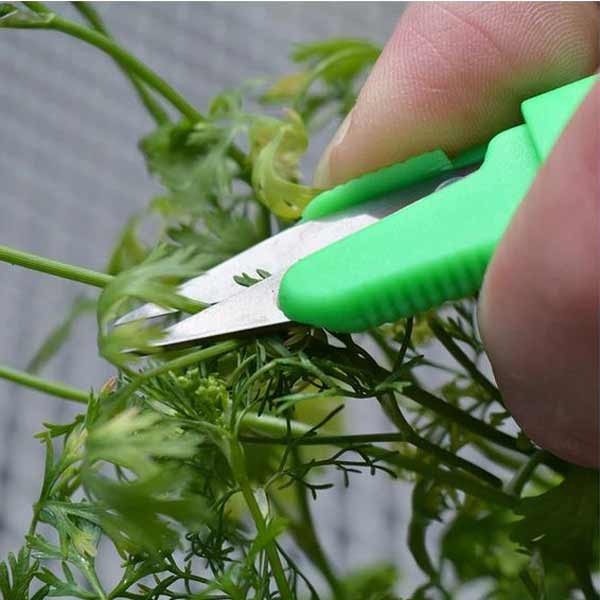 Growers Choice Snip It Deluxe Assorted Colours 5 Growers Choice Snip It Deluxe Assorted Colours - Image 5