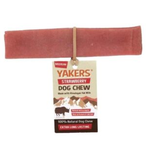 Yakers Yak Milk Chew Strawberry Medium Single Dog Treat