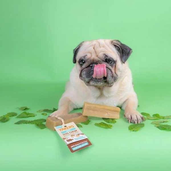 Yakers Yak Milk Chew Mint Medium Single Dog Treat 3 Yakers Yak Milk Chew Mint Medium Single Dog Treat - Image 3