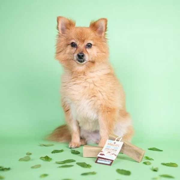 Yakers Yak Milk Chew Mint Medium Single Dog Treat 4 Yakers Yak Milk Chew Mint Medium Single Dog Treat - Image 4