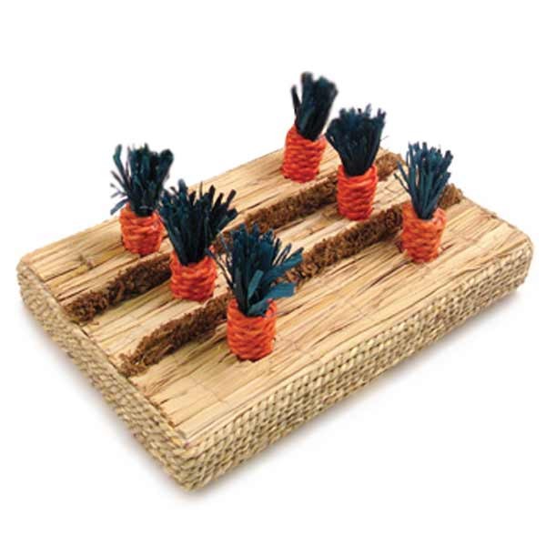 Rosewood Boredom Breaker Carrot Play Patch 2 Rosewood Boredom Breaker Carrot Play Patch - Image 2