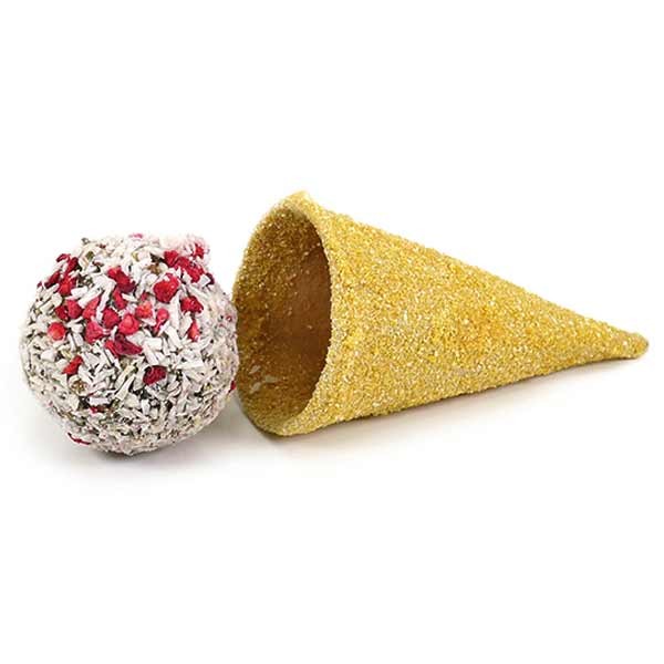 Rosewood Naturals Treats Raspberry 'n' Coconut Cone 3 Rosewood Naturals Treats Raspberry 'n' Coconut Cone - Image 3